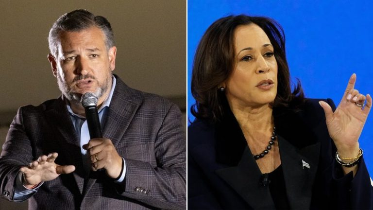 Sen Ted Cruz calls out VP Kamala Harris for Palestinian sympathy push: ‘Undermining Israel’
