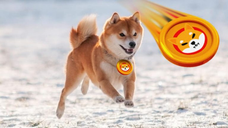 Dogecoin and Shiba Inu: Shiba Inu retreats to 0.00001000