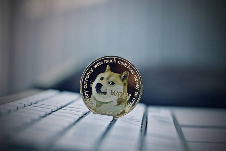 Dogecoin and Shiba Inu: Dogecoin under pressure below 0.0800