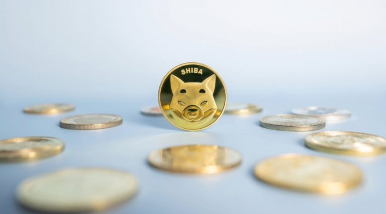 Will Shiba Inu coins reach $1?