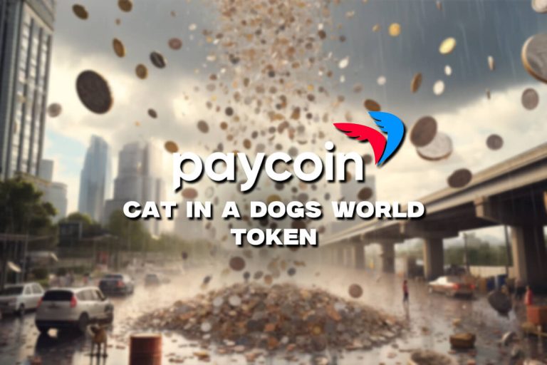 Paycoin’s Volatile 22.73% Plunge & 2024 Market Outlook