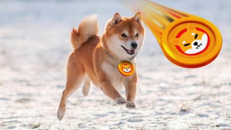 Dogecoin and Shiba Inu: Dogecoin bounced back to EMA200