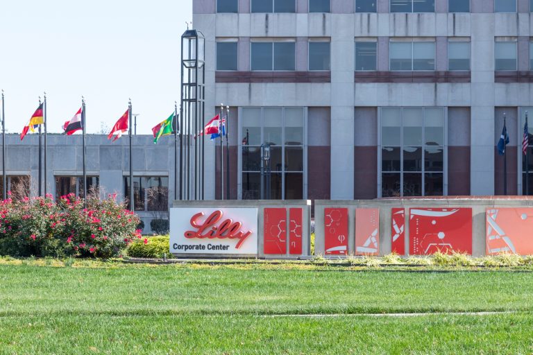 Eli Lilly’s $123 billion market value drop: A strategic buying opportunity?