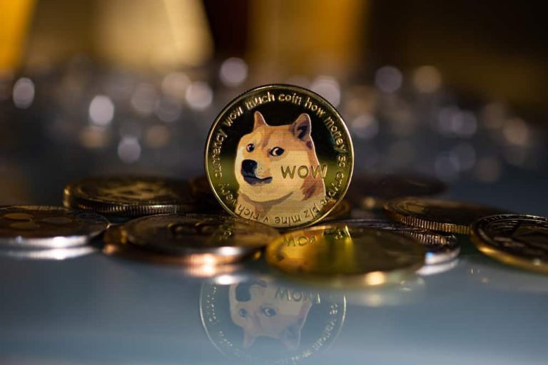 Dogecoin and the Shiba Inu: Dogecoin on the positive side
