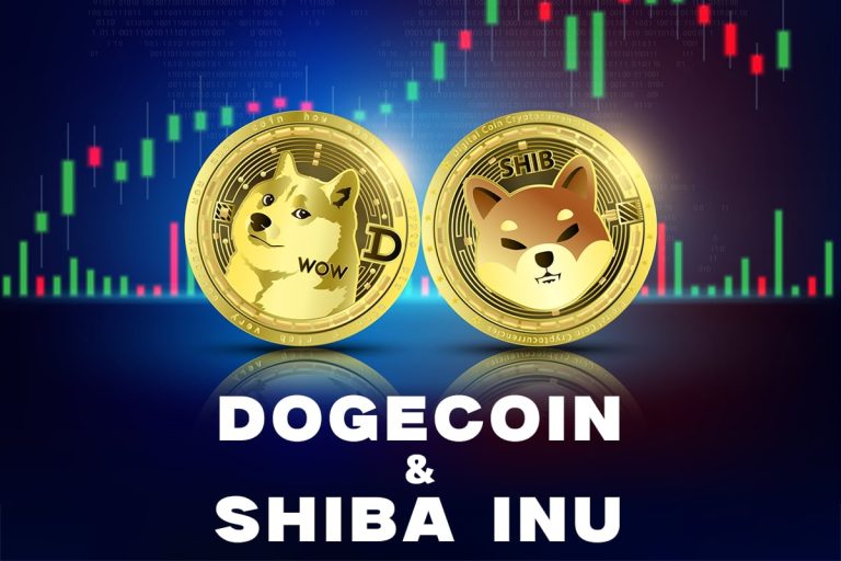 Dogecoin and Shiba Inu continue to descend to new lows