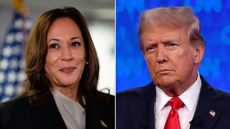 ‘Never Trumpers’ coalesce behind Dem ticket in Republicans for Harris campaign