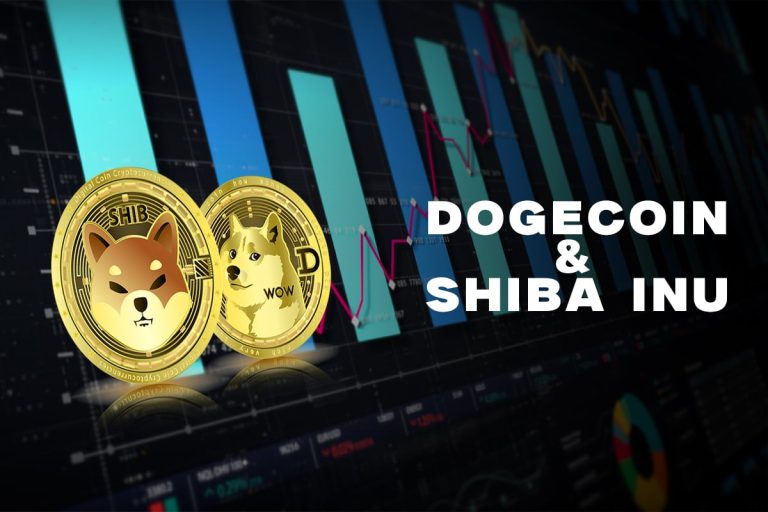 Dogecoin and Shiba Inu stable as of this morning on support