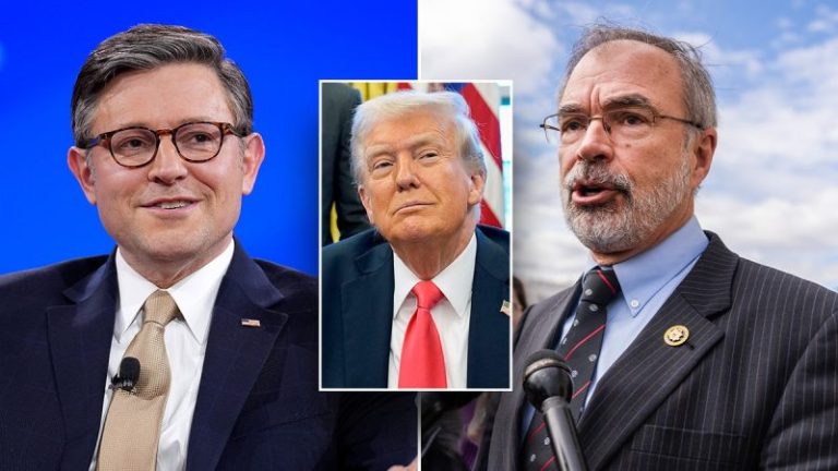 EXCLUSIVE: House Freedom Caucus chair urges Johnson to change course on Senate version of Trump budget bill