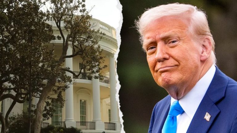 Does President Trump really need to cut down Andrew Jackson’s magnolia tree? Expert weighs in