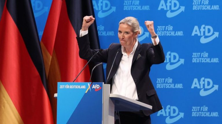 Intelligence agency classifies country’s popular Alternative for Germany party as ‘extremist’